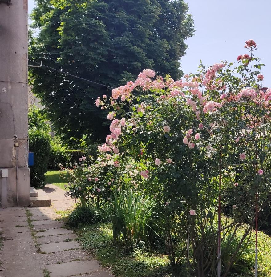 Petit Coco Leilighet Zagreb Eksteriør bilde